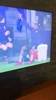 活宝，网友：小图拉姆不管在哪都能成为镜头焦点😂